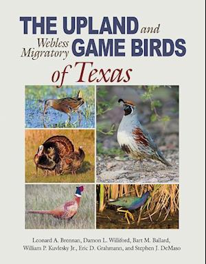 The Upland and Webless Migratory Game Birds of Texas