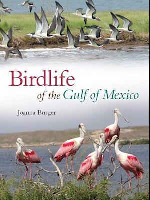 Birdlife of the Gulf of Mexico