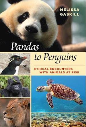 Pandas to Penguins