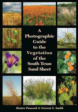 A Photographic Guide to the Vegetation of the South Texas Sand Sheet