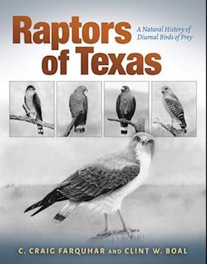 Raptors of Texas