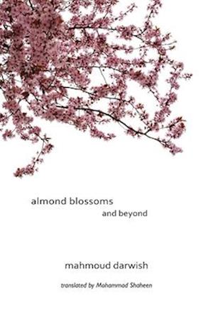 Almond Blossoms And Beyond