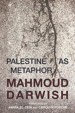 Palestine as Metaphor