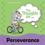 Tiny Thoughts on Perseverance