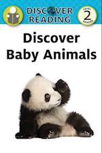 Discover Baby Animals