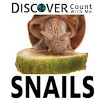 Discover Snails