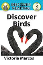 Discover Birds