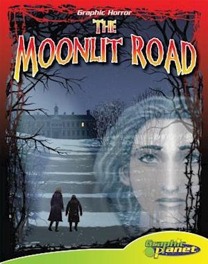 The Moonlit Road