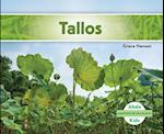 Tallos (Stems ) (Spanish Version)