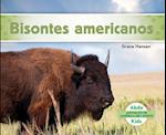 Bisontes Americanos