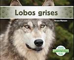 Lobos Grises (Gray Wolves) (Spanish Version)