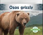 Osos Grizzly (Grizzly Bears) (Spanish Version)