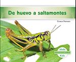 de Huevo a Saltamontes (Becoming a Grasshopper ) (Spanish Version)