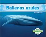 Ballenas Azules (Blue Whales ) (Spanish Version)
