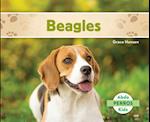 Beagles (Beagles )