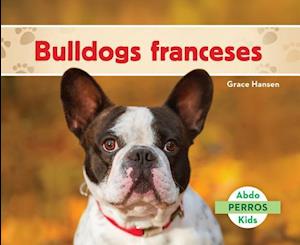 Bulldogs Franceses (French Bulldogs )