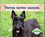 Perros Terrier Escoc&#xe9;s (Scottish Terriers)