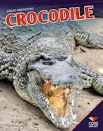 Crocodile