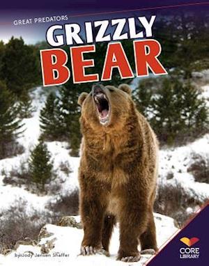 Grizzly Bear