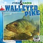 Walleyed Pike