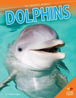 Dolphins