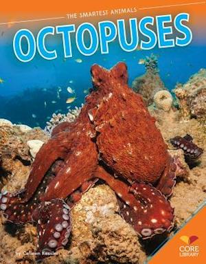 Octopuses