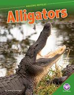 Alligators