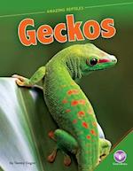 Geckos