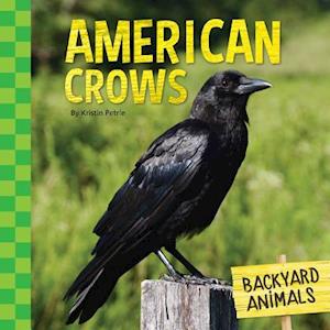 American Crows