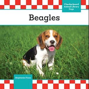 Beagles