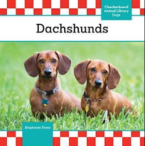 Dachshunds