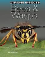 Bees & Wasps