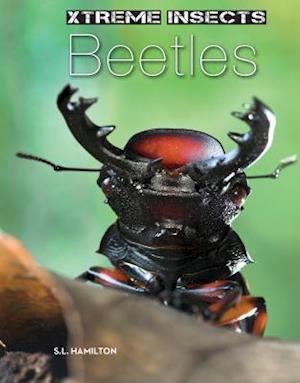 Beetles