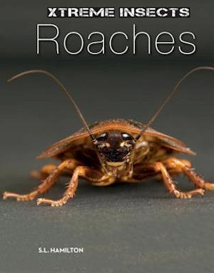 Roaches