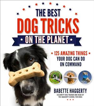 Best Dog Tricks on the Planet