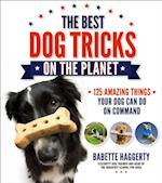 Best Dog Tricks on the Planet