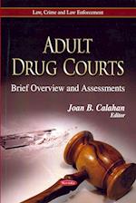 Adult Drug Courts