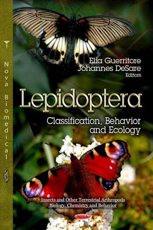 Lepidoptera