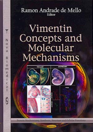 Vimentin Concepts & Molecular Mechanisms