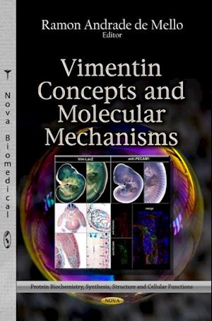 Vimentin Concepts and Molecular Mechanisms