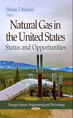 Natural Gas in the United States