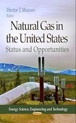 Natural Gas in the United States