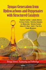 Syngas Generation from Hydrocarbons and Oxygenates with Structured Catalysts