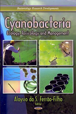 Cyanobacteria