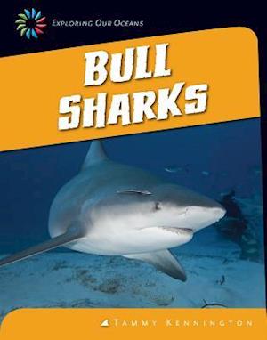 Bull Sharks