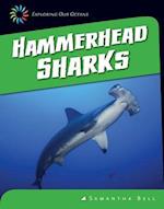 Hammerhead Sharks