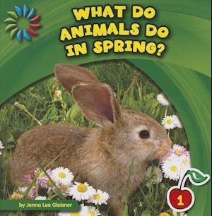 What Do Animals Do in Spring?