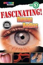 Fascinating! Human Bodies