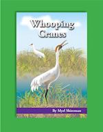 Whooping Cranes