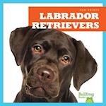 Labrador Retrievers